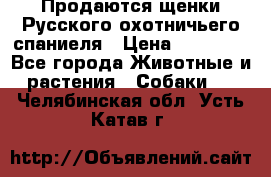 Продаются щенки Русского охотничьего спаниеля › Цена ­ 25 000 - Все города Животные и растения » Собаки   . Челябинская обл.,Усть-Катав г.
